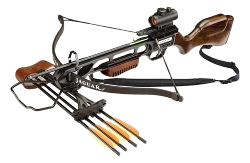 Jaguar Woody Set (150lbs)