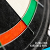 harrows-dartboards-pro-matchplay-2