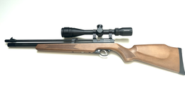 Diana LG Stormrider wood 5,5mm 35J Set