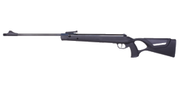 Diana LG34 EMS Panther 4,5