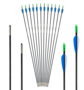 Archery Club Carbon 5,5mm 30\\"         1Stk.